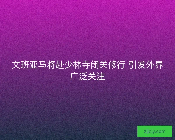 文班亚马将赴少林寺闭关修行 引发外界广泛关注