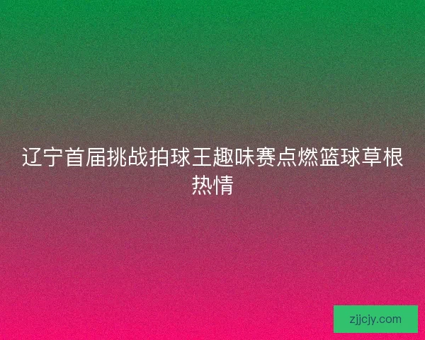 辽宁首届挑战拍球王趣味赛点燃篮球草根热情