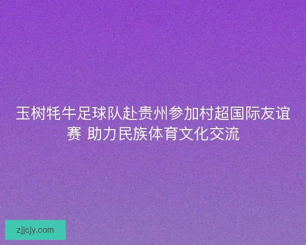 玉树牦牛足球队赴贵州参加村超国际友谊赛 助力民族体育文化交流