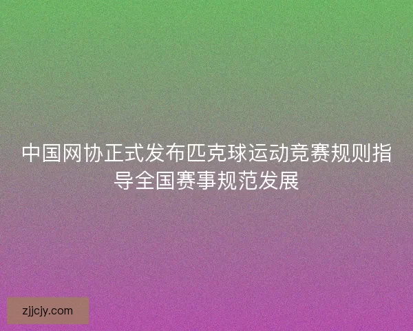 中国网协正式发布匹克球运动竞赛规则指导全国赛事规范发展